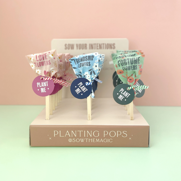Fortune Flowers Seed Pop